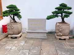 -安方塔