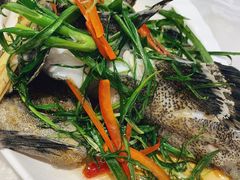 清蒸鱼-桥东喜碧海鲜街(水东街店)