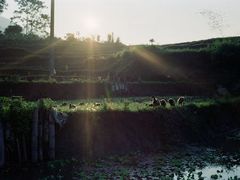 -维乐口腔医院(星海湾分院)