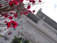 -乌山风景区
