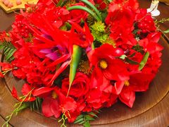 -高老庄新家宴(北斗星广场店)