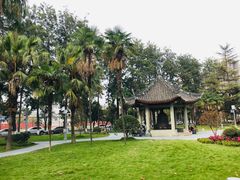 -四川大学(望江校区)