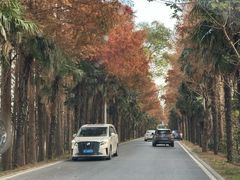 -上海海湾国家森林公园