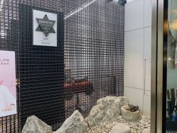 -塞巴斯汀SEBASTIAN专业美发店