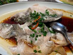 -新白鹿餐厅(松江开元地中海店)