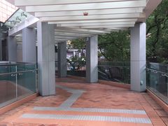 -香港大学