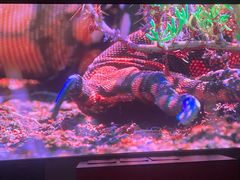 -星光摄影器材城