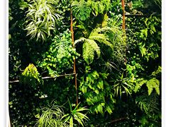 侧门走道墙-manabe (共和新路店)