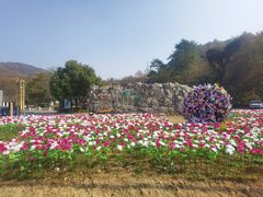 -南京老山国家森林公园