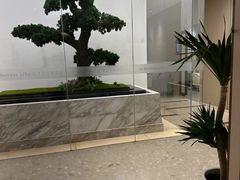 -柏乐口腔医院·舒适化无痛种植牙中心(东盟商务区院)