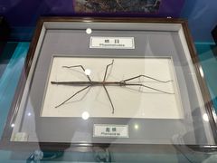 -上海昆虫博物馆