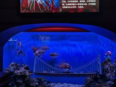 -太平洋海底世界