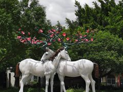 -鹭江潮餐厅•福建菜(鹭江佲家酒店)