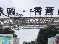 -紫颐香薰山谷景区
