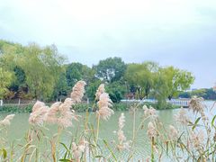 -昆山城市生态森林公园