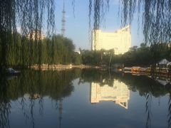 -莲湖公园