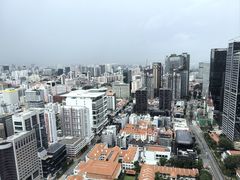 -新加坡瑞士史丹福酒店