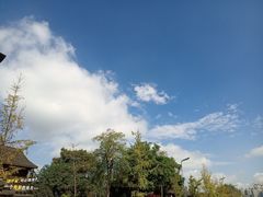-攀枝花·任德琼·盐边羊肉米线