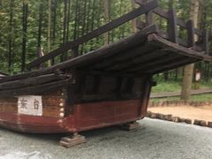 -黄海国家森林公园