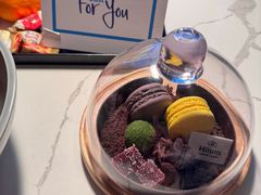 -新加坡乌节希尔顿酒店 (SG Clean)