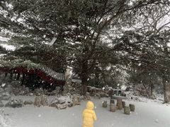 -南山公园