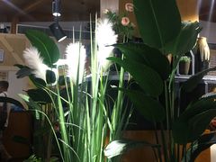 -青柠记忆泰式海鲜火锅(合生汇购物中心店)