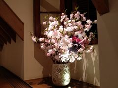 -星巴克臻选(思南公馆店)