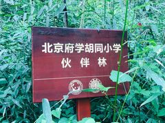 -都江堰中华大熊猫苑