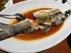 -頂好酒家·经典粤菜(海信广场店)