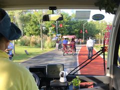 -上海长兴岛郊野公园