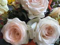 -麦当劳(东急新天地店)