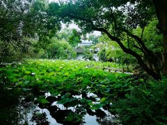 -上海醉白池公园