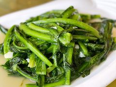 -通湖草原