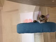 -Me Coffee下午茶艺术空间