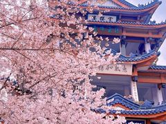 -尚湖风景区
