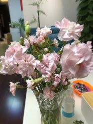 -康美贞·痘肌养护管理中心