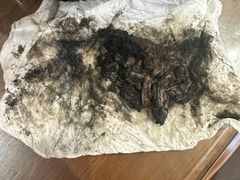 -御面斋精品面馆