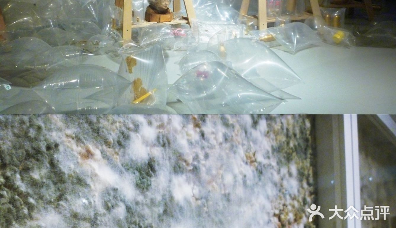 这次展不用门票，坐标原美术馆  作品雨伞的直径是1