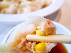 三鲜虾仁水饺-大鸭梨烤鸭(金色漫香店)