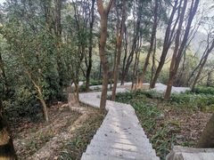 -火炉山森林公园