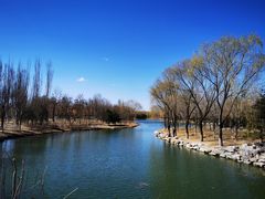 -大兴滨河森林公园