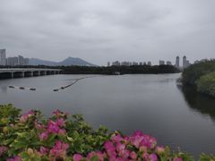 -厦门园林博览苑