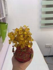 -清颜堂丨分子祛痘·功效美肤