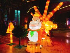 -郑州方特梦幻王国