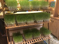 -大龙辣火锅·龙虾·烧烤(湖滨新天地店)
