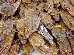 -NSK Trade City(Kuchai Lama)