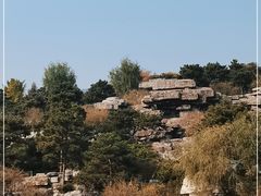 -北京西山国家森林公园