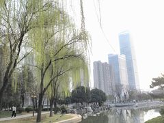 -木塔寺遗址生态公园