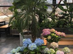 -北马山庄植趣咖啡