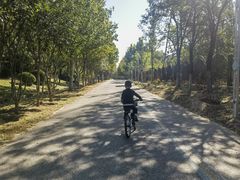 -永定河休闲森林公园